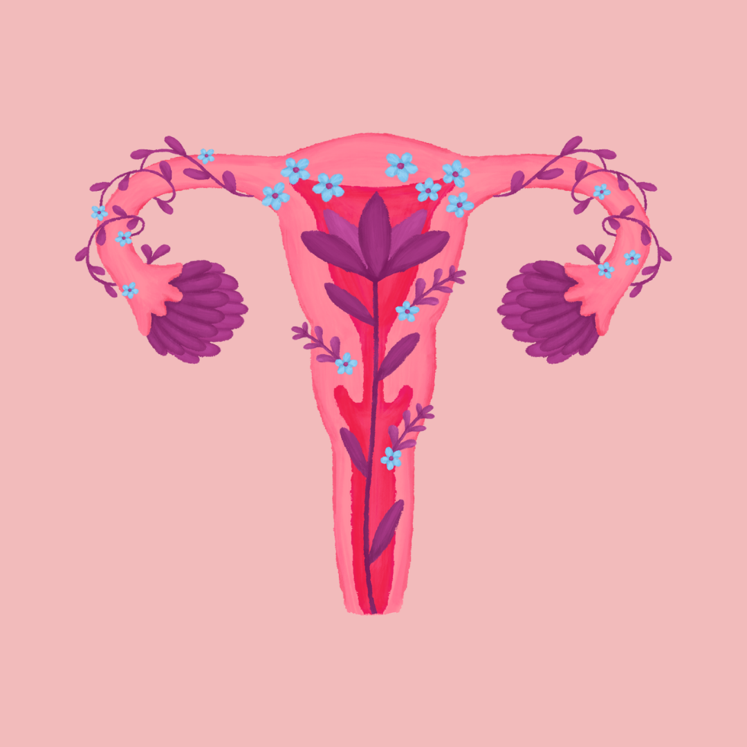 pesquisa-menstruação
